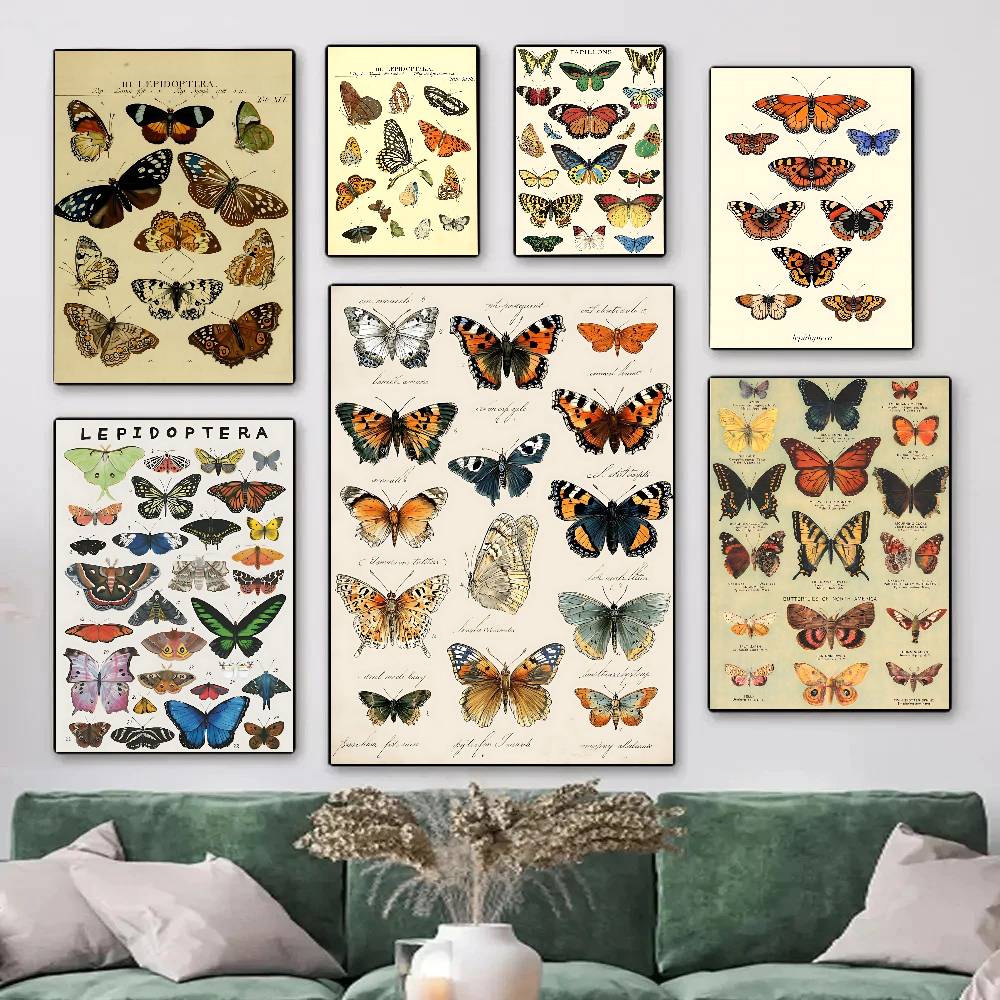 Vintage Collectible Posters - Poster Koleksi Kupu-kupu dan Serangga Vintage