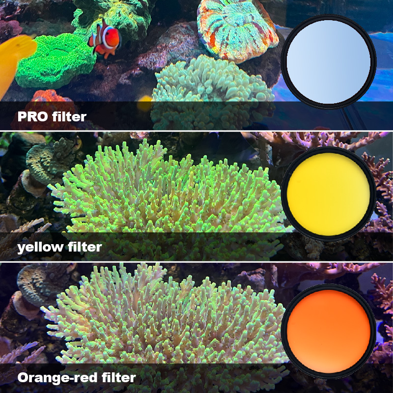 Filter akuarium laut Vastocean - Photo Develop Tank ulasan dan harga