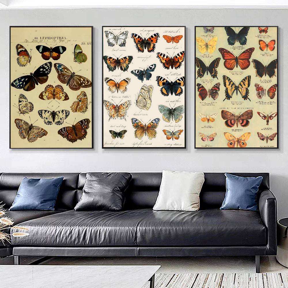 Poster Koleksi Kupu-kupu dan S - Vintage Collectible Posters ulasan dan harga